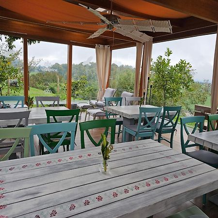 B&B Villa Angelina Rogaška Slatina Εξωτερικό φωτογραφία
