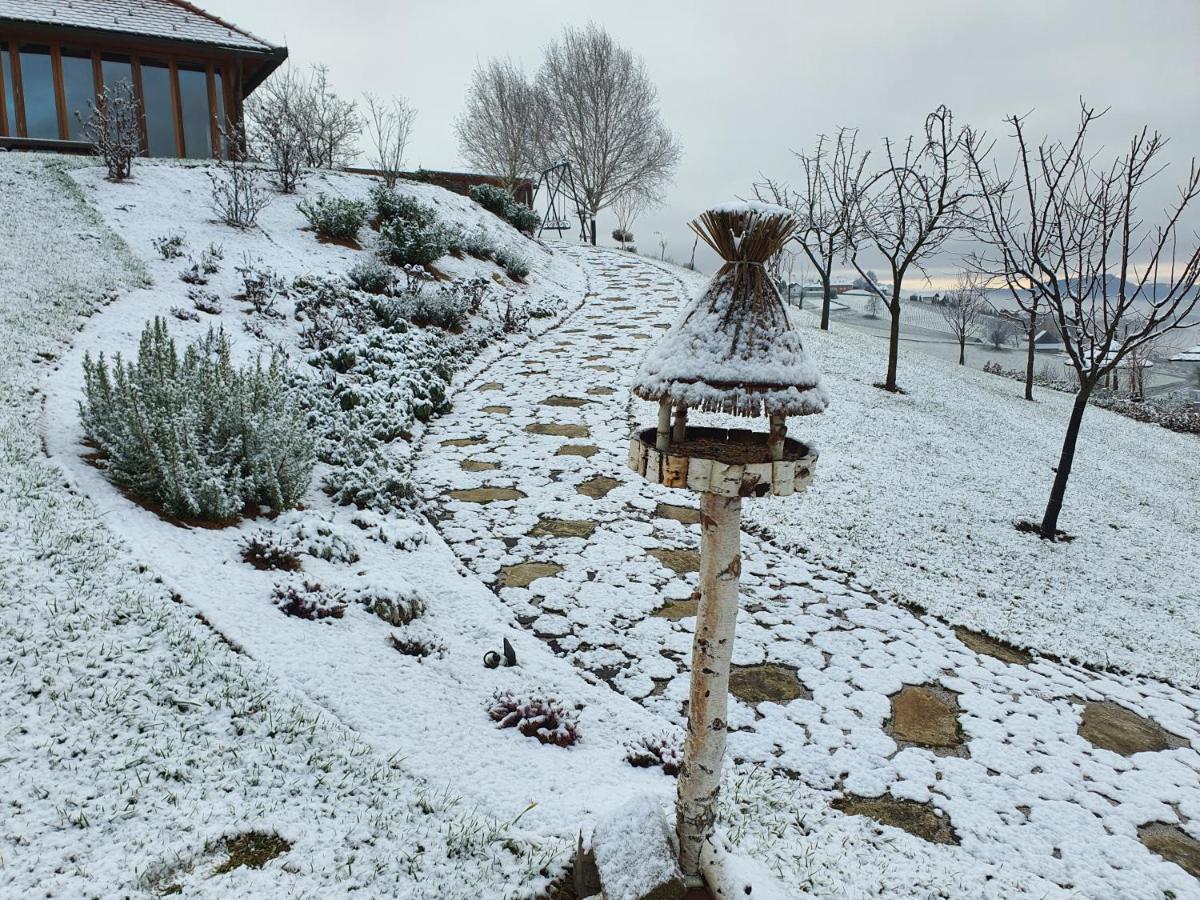 B&B Villa Angelina Rogaška Slatina Εξωτερικό φωτογραφία