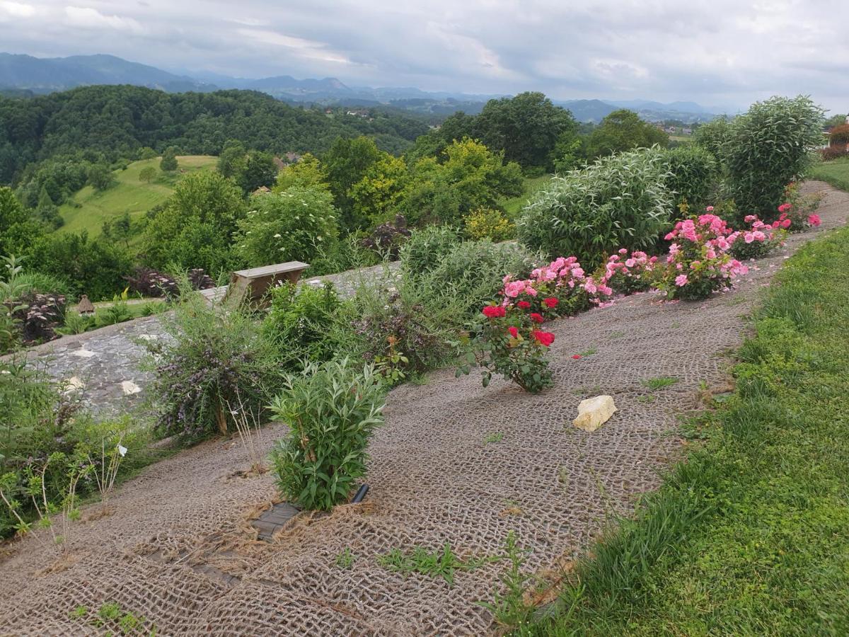 B&B Villa Angelina Rogaška Slatina Εξωτερικό φωτογραφία