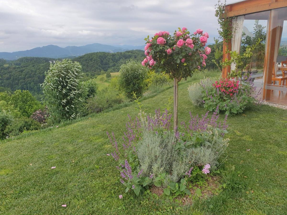 B&B Villa Angelina Rogaška Slatina Εξωτερικό φωτογραφία
