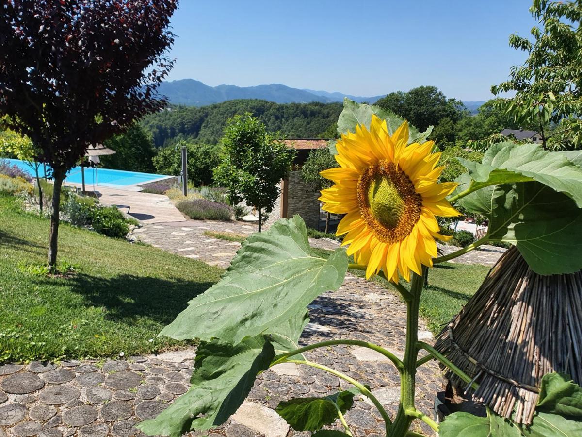 B&B Villa Angelina Rogaška Slatina Εξωτερικό φωτογραφία