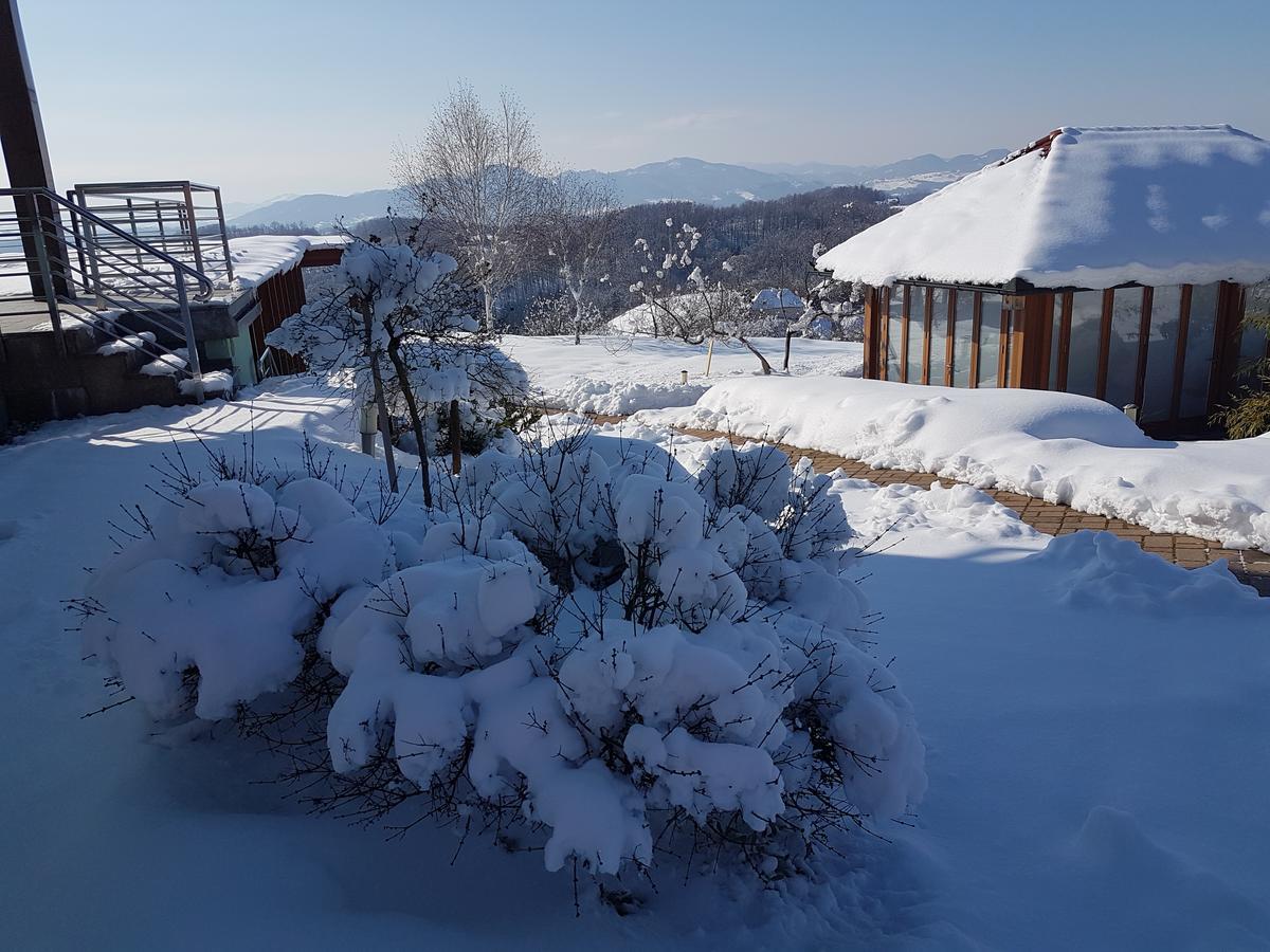 B&B Villa Angelina Rogaška Slatina Εξωτερικό φωτογραφία
