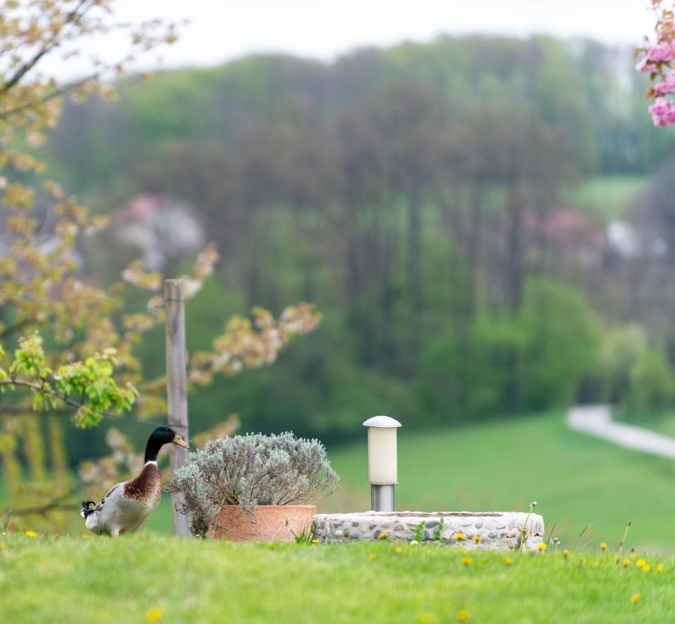 B&B Villa Angelina Rogaška Slatina Εξωτερικό φωτογραφία